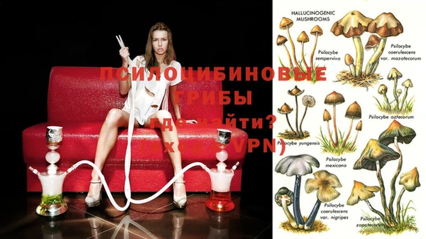 МДПВ Балахна
