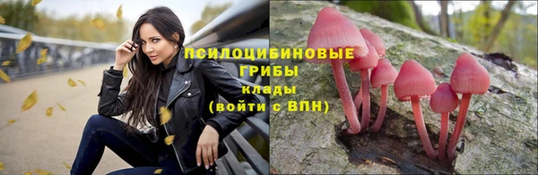 МДПВ Балахна