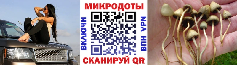 Псилоцибиновые грибы Magic Shrooms МЕГА как зайти Звенигово